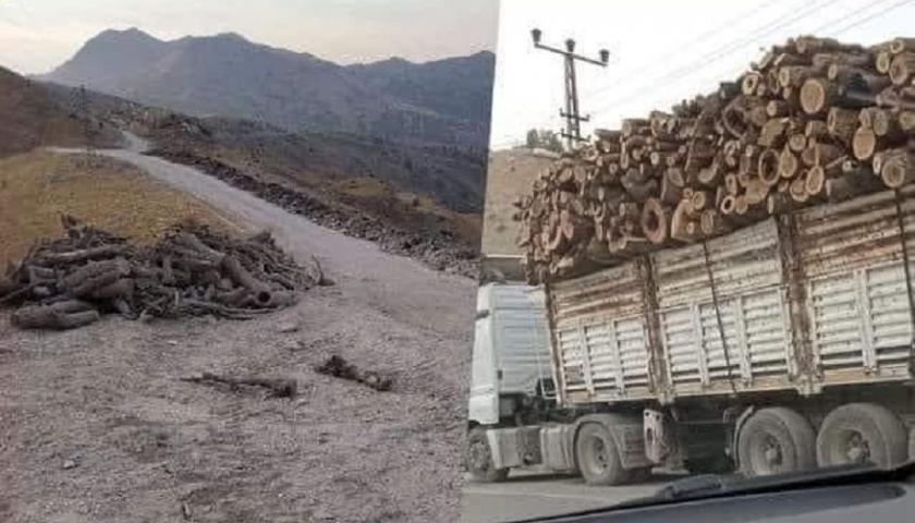 پەرلەمانتارێکی پارتی لە دژی داربڕینەکەی تورکیا پەنا بۆ کۆمەڵگای نێودەوڵەتی دەبات