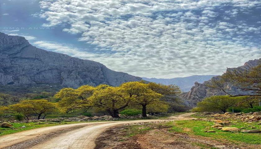 سبەینێ هەڵمەتی گەڕان بەدوای هاووڵاتیەکەی قەرەداغ دەستپێدەکات