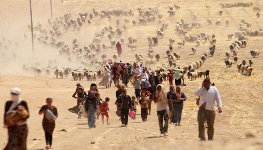 لە عێراق ١٨ ملیۆن پەڕە بەڵگەی داعش بە دیجیتاڵی کراوە