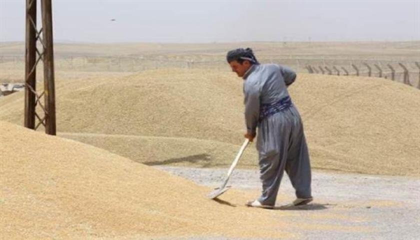 وەجبەی سێیەمی پارەی گەنمی جوتیاران ڕەوانەی هەرێم کرا