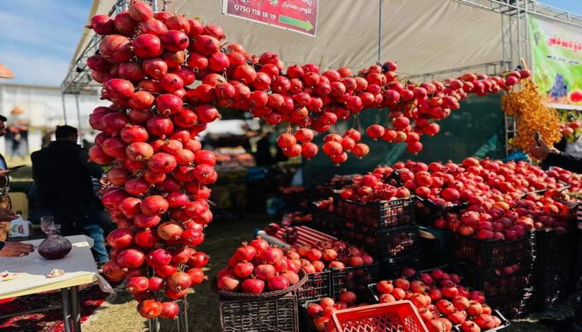 گەشتوگوزارى هەڵەبجە: ژمارەیەکی زۆر گەشتیار و سەردانیکەر، سەردانی فستیڤاڵی هەناریان کردووە