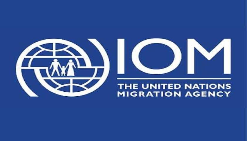 رێکخراوی (IOM) هاوکاری دارایی دەداتە ئەو کەسانەی پرۆژەی تایبەتیان هەیە