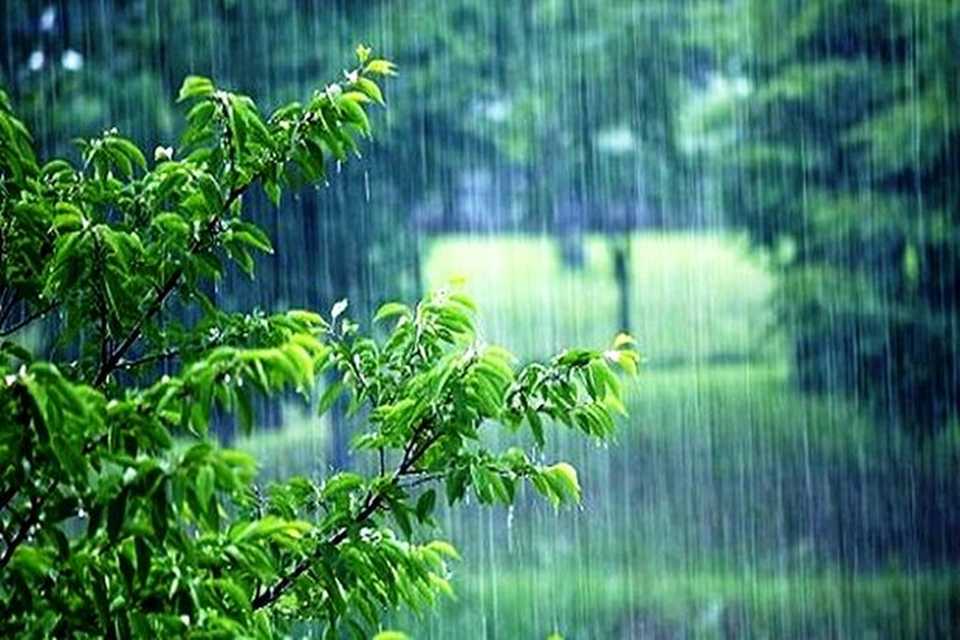 بارانبارین لە چەند ناوچەیەکی هەرێم دەستپێدەکات