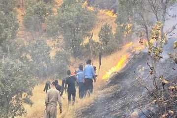 دوکان.. لە ڕووداوێکی ئاگرکەوتنەوەدا ٥٠٠ دۆنم پوش و پاوان سوتان