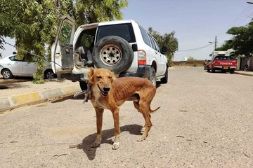 گەرمیان؛ ڕێگری لە دیاریدەی ڕاوکردن دەکرێت