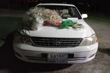  دوو ڕاوچی له دەستگیرکران