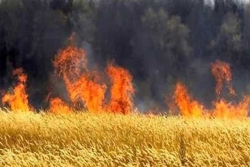هەوڵەکان بۆ کۆترۆڵکردنی ئاگرەکەی شاخی شەرواڵ دڕە، بەردەوامە